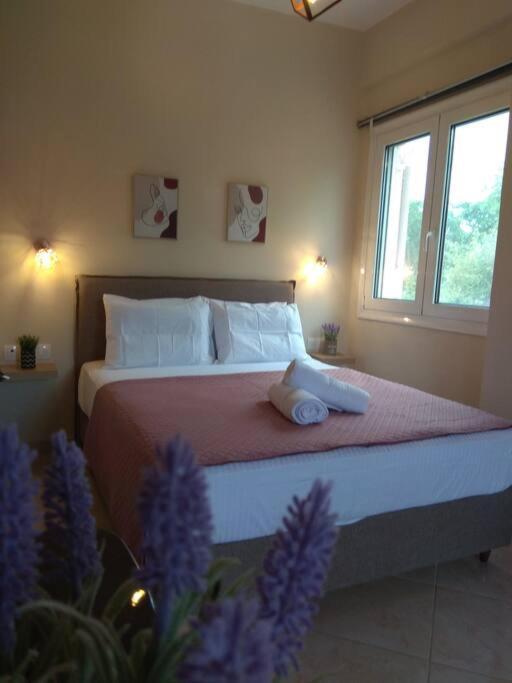Elena Roza Apartment Mesongí Eksteriør bilde